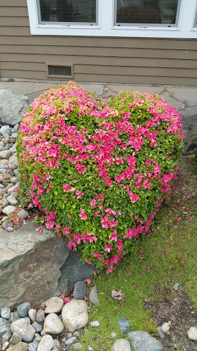 Park «Highlands Park», reviews and photos, 16123 Highlands Blvd SE, Mill Creek, WA 98012, USA