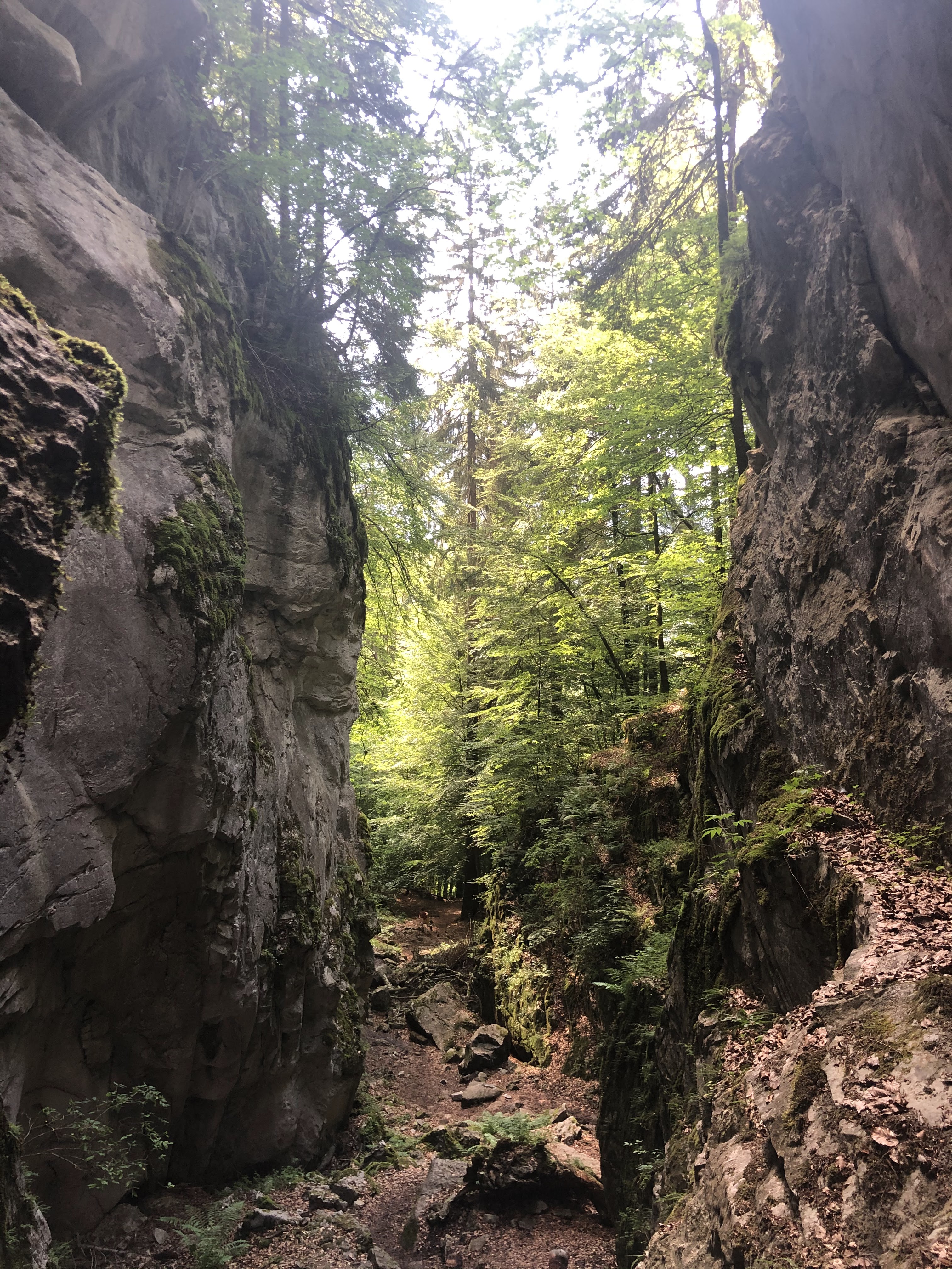 Photo n° 2 de l'avis de Florian.a fait le 14/07/2020 à 21:06