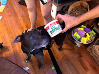 Dog's Little Acre - Photo 8 - Car repair in Virginia Beach, VA, Virginia Beach