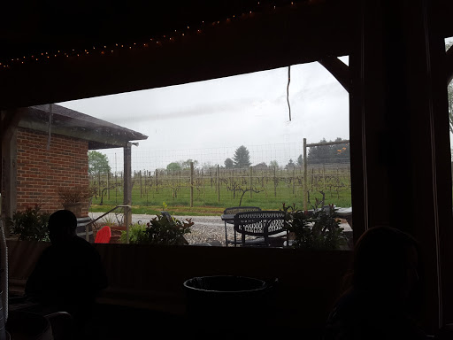 Winery «Basignani Winery», reviews and photos, 15722 Falls Rd, Sparks Glencoe, MD 21152, USA