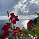 Photo n°5 de l'avis de Andra.a fait le 22/10/2020 à 22:53 sur le  Villa Magia à Positano
