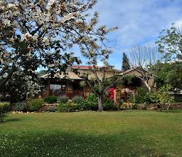 Dempsey's Guest House photo