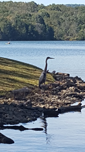 Campground «Defeated Creek Campground», reviews and photos, 140 Marina Ln, Defeated, TN 37030, USA