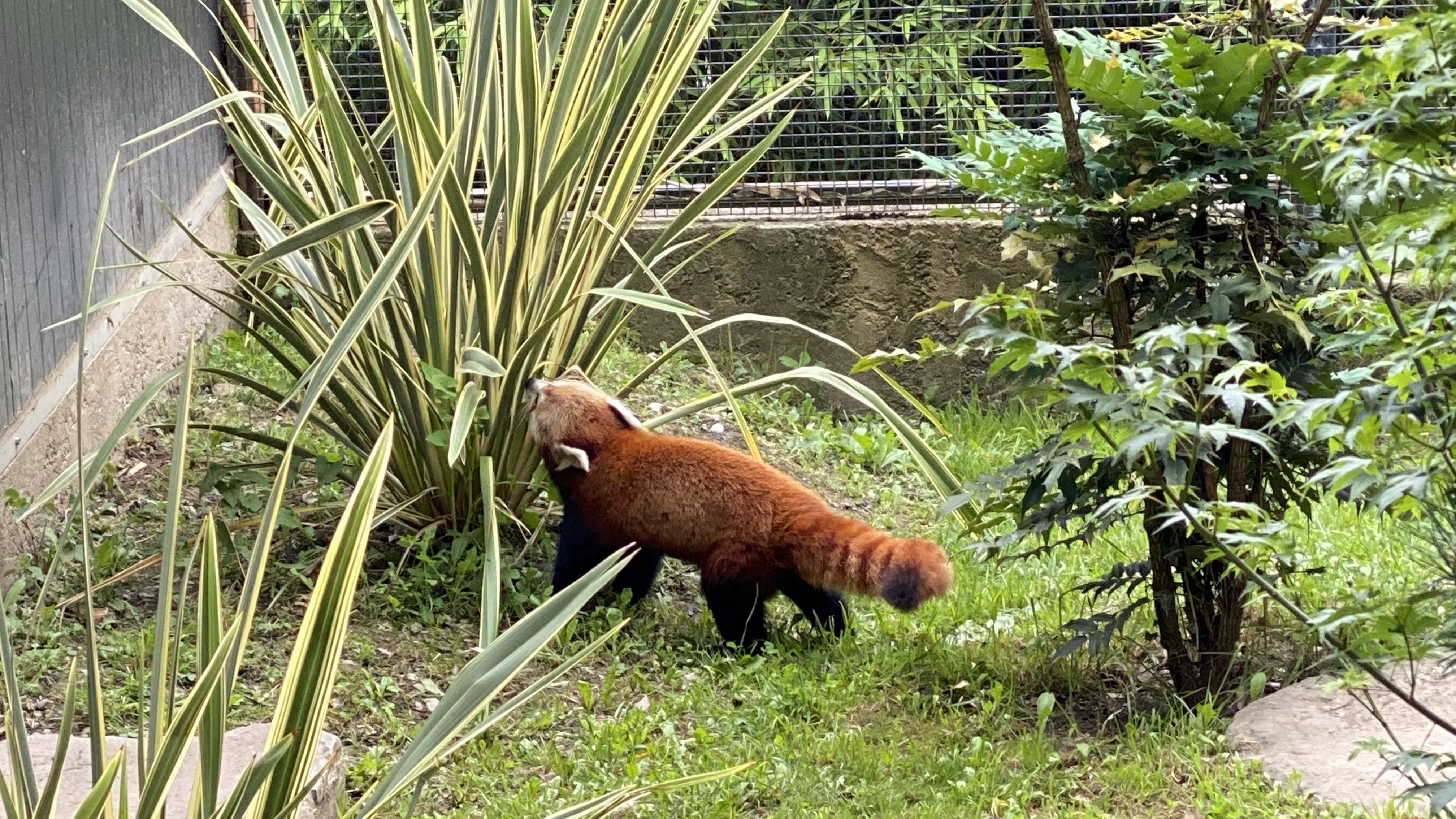 Photo n° 13 de l'avis de Jérémie.o fait le 10/07/2021 à 20:40