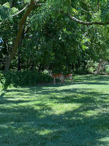 Public Golf Course «Queenstown Harbor Golf Course», reviews and photos, 310 Links Ln, Queenstown, MD 21658, USA
