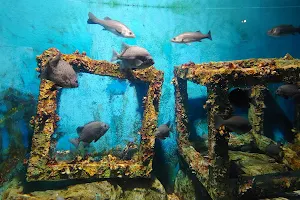 Uljin Aquarium image