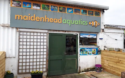 Maidenhead Aquatics Blackpool image