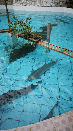 Top 17 cửa hàng brother Huyện Mộc Châu Sơn La 2022