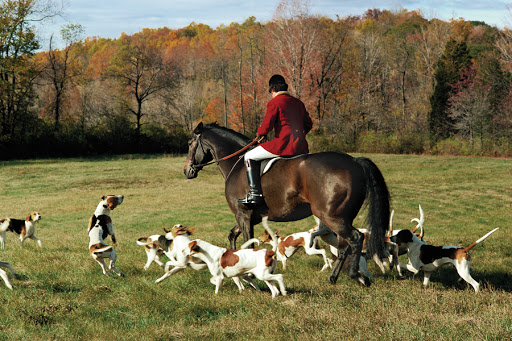 Real Estate Agency «Turpin Real Estate», reviews and photos, 21 US-202, Far Hills, NJ 07931, USA