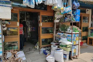 Shomudro Bilash Aquatic Shop image