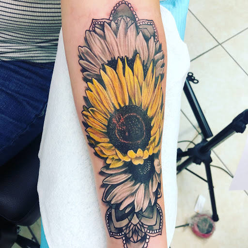 Explore cute mushroom tattoo ideas, creative tattoo ideas in Harrisonburg, available at Dreamland Tattoo