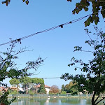 Photo n°4 de l'avis de Francesco.e fait le 07/10/2023 à 12:33 sur le  Ristorante Pizzeria La Valletta à Bellaria - Igea Marina