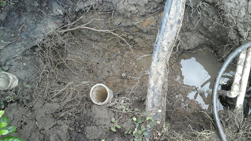 830 S Hampton Rd, Dallas, TX 75208, USA