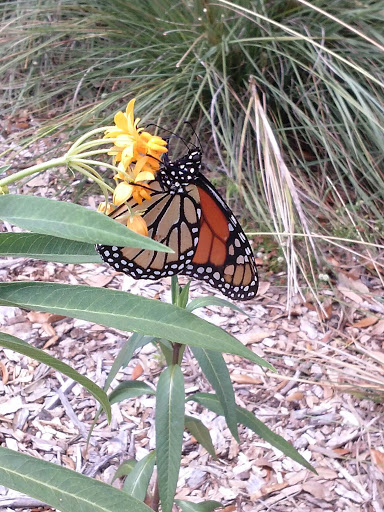 Park «A.D. (Doug) Barnes Park», reviews and photos, 3401 SW 72nd Ave, Miami, FL 33155, USA