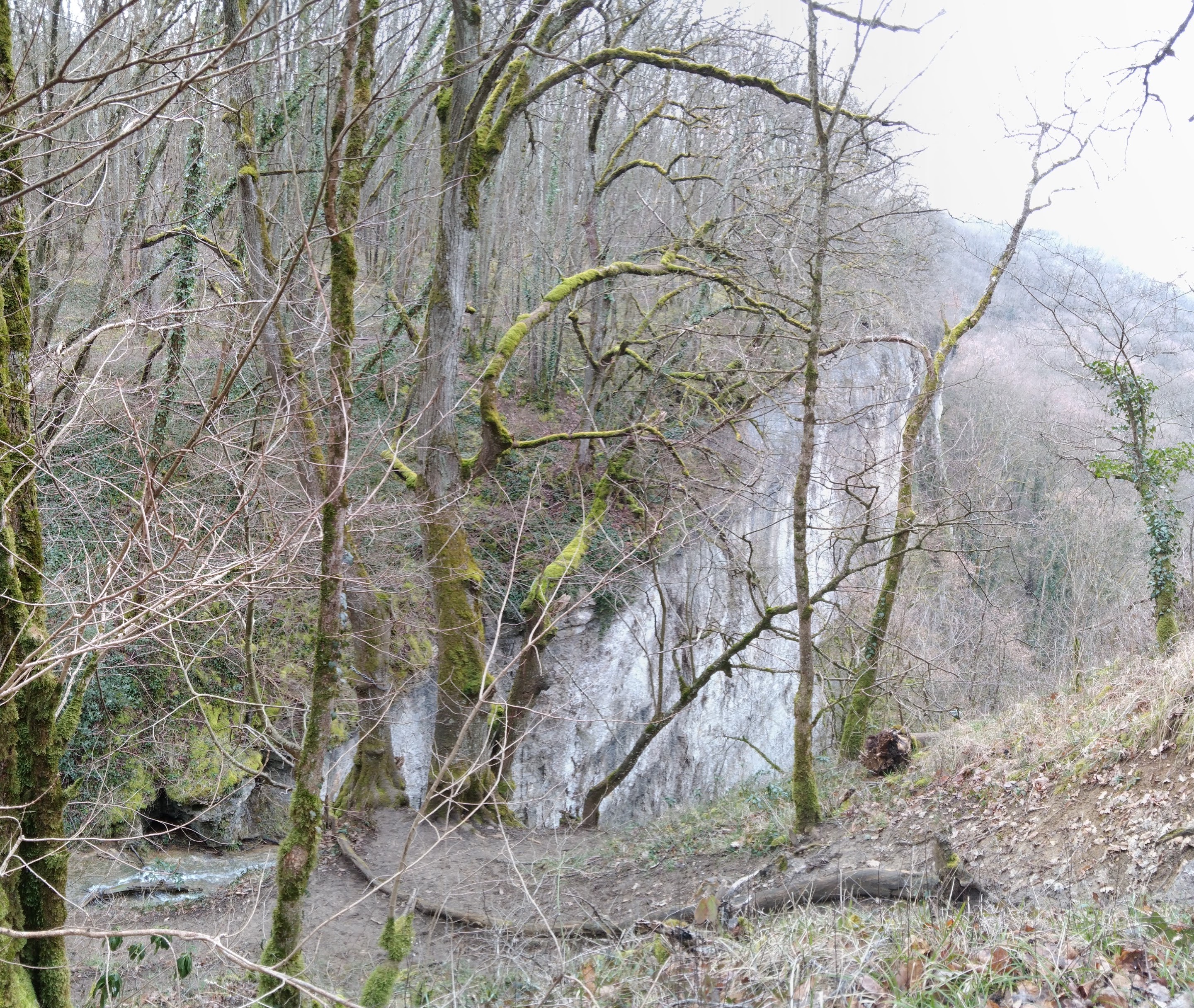 Photo n° 1 de l'avis de Véronique.e fait le 10/03/2024 à 08:15