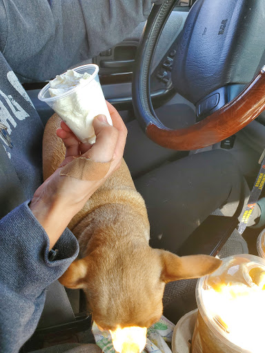 Coffee Shop «Starbucks», reviews and photos, 90 3300 S, South Salt Lake, UT 84115, USA