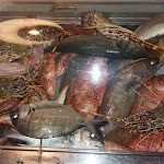 Photo n°5 de l'avis de Lucio. fait le 25/08/2021 à 09:01 sur le  Ristorante La Vinaigrette à Gallipoli