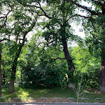 Photo n°4 de l'avis de Don.o fait le 08/07/2020 à 19:07 sur le  Hotel zwischen den Seen à Waren