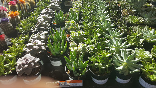 Home Improvement Store «The Home Depot», reviews and photos, 34249 Monterey Ave, Rancho Mirage, CA 92270, USA