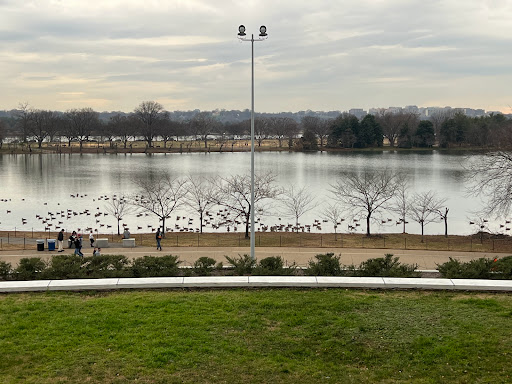 Monument «Thomas Jefferson Memorial», reviews and photos, 701 E Basin Dr SW, Washington, DC 20242, USA
