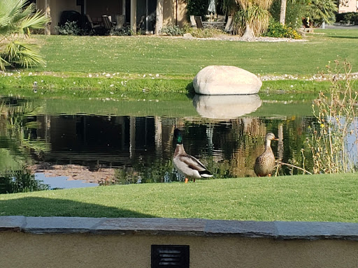 Country Club «Indian Palms Country Club & Resort», reviews and photos, 48630 Monroe St, Indio, CA 92201, USA