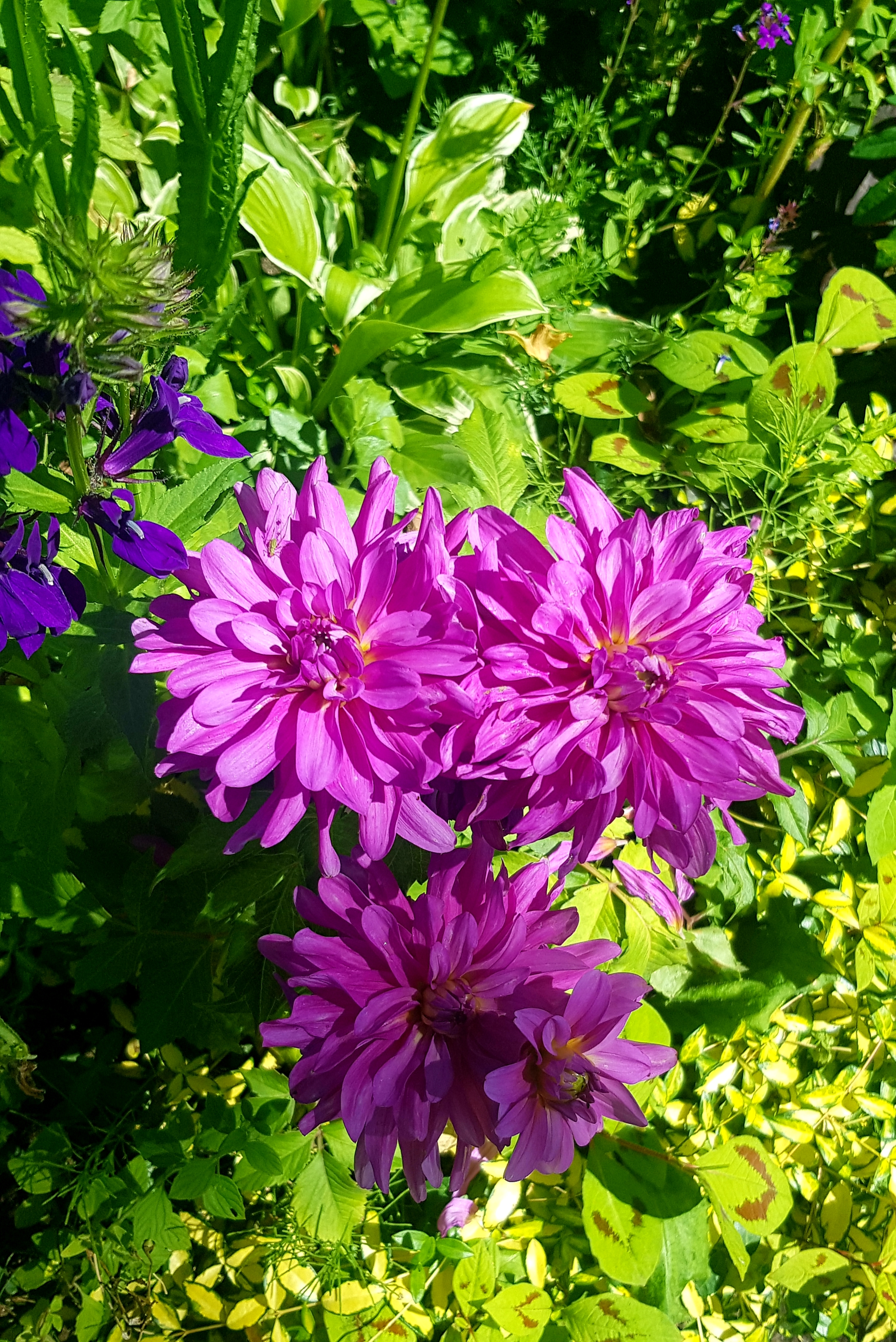 Photo n° 6 de l'avis de Nathanaëlle.a fait le 21/07/2021 à 11:12