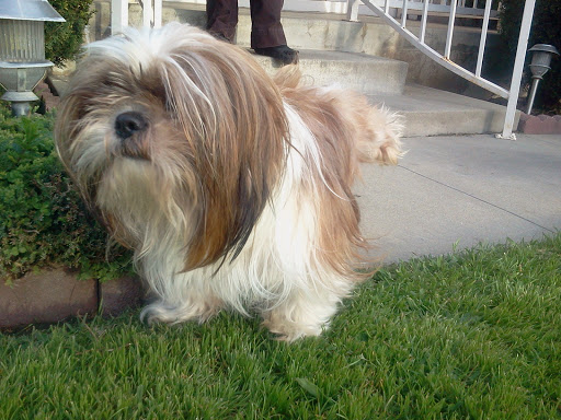 Hair Salon «D Side Studio Hair Salon», reviews and photos, 1915 Main St, Vancouver, WA 98660, USA