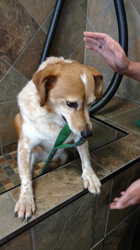 Pet Supply Store «Pet Valu», reviews and photos, 3437 Center Rd, Brunswick, OH 44212, USA