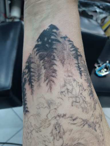 Explore nail tech tattoo ideas, creative tattoo ideas in Reno, available at Stingray Tattoo supplies