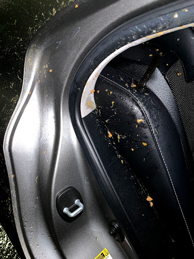 Car Wash «Auto Pride Hand Car Wash», reviews and photos, 909 Woodside Rd, Redwood City, CA 94061, USA