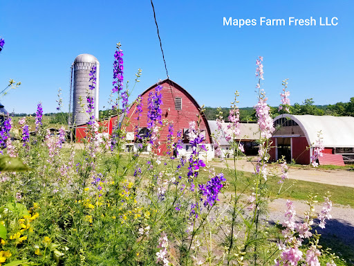 Mapes Farm Fresh, LLC - Small Family Dairy Farm in Mifflinburg
