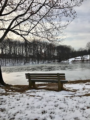 Carousel Park - photo 56
