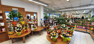 Génération Fleurs à Angoulême