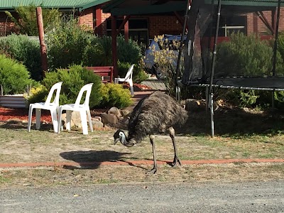Photos of Halls Gap Valley Lodges