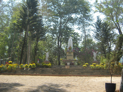 Top 20 cửa hàng trầm hương Thị xã Phước Long Bình Phước 2022