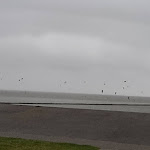 Photo n°6 de l'avis de Thoika. fait le 14/10/2021 à 15:58 sur le  Essen & Meer im Skipperhuus à Norden