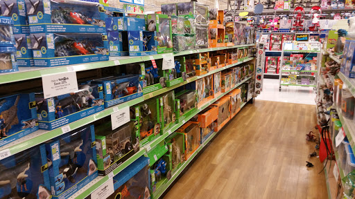 Toy Store «Toys