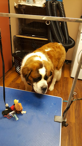 Pet Store «Pet Valu», reviews and photos, 2645 Shillington Rd, Sinking Spring, PA 19608, USA