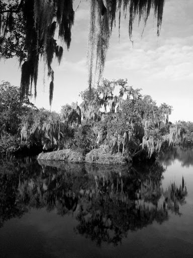 Nature Preserve «Green Swamp Wilderness Preserve», reviews and photos, 28057 FL-471, Webster, FL 33597, USA