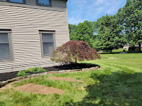 Nicholson Landscaping LLC - Photo 6 - Car repair in , Youngstown