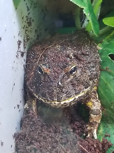 Pet Supply Store «Petco Animal Supplies», reviews and photos, 990 Brook Forest Ave, Shorewood, IL 60431, USA