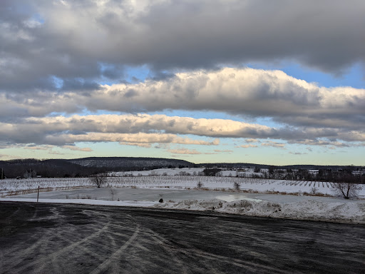 Winery «Gouveia Vineyards», reviews and photos, 1339 Whirlwind Hill Rd, Wallingford, CT 06492, USA
