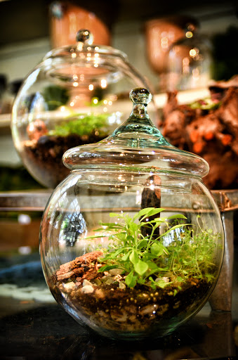 Florist «Guilford White House Florist», reviews and photos, 966 Boston Post Rd, Guilford, CT 06437, USA