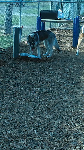 Dog Park «Bassett Creek Dog Park», reviews and photos, 32nd Ave N, Crystal, MN 55422, USA