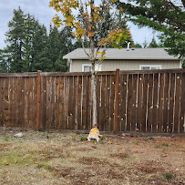 Christian Life Center - Photo 5 - Car repair in Port Orchard, WA, Bremerton
