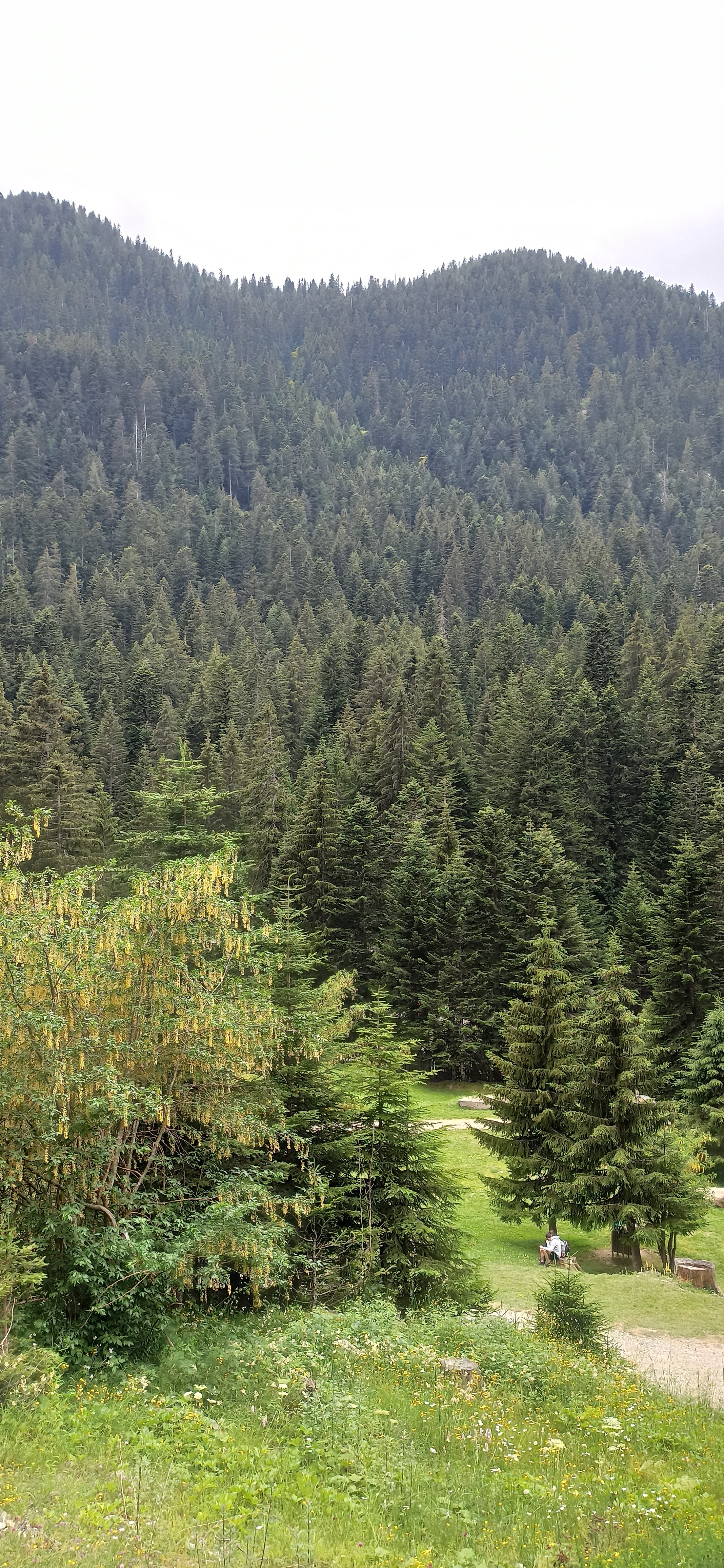 Photo n° 14 de l'avis de Paul. fait le 06/01/2021 à 18:40