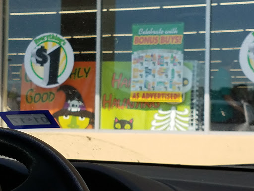 Dollar Store «Dollar Tree», reviews and photos, 2015 S Washington St, Kaufman, TX 75142, USA