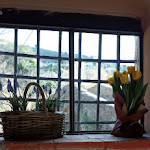 Photo n°7 de l'avis de Pat.u fait le 02/04/2023 à 19:53 sur le  Ristorante Equilibrio à Dolcedo