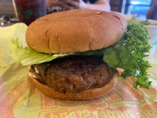 Earth Burger