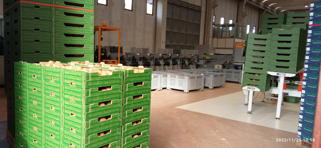 Azienda Agricola Fabbri Antonio E Giorgio